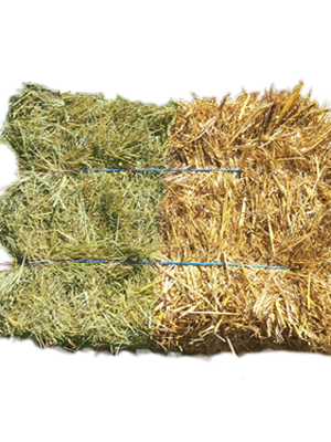 Bi-Ballot Paille/Foin