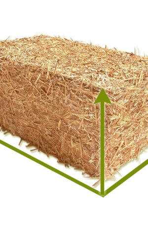 Botte sur mesure
