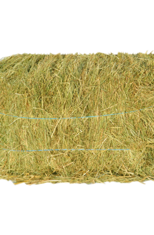 Ballot 12kg - Foin