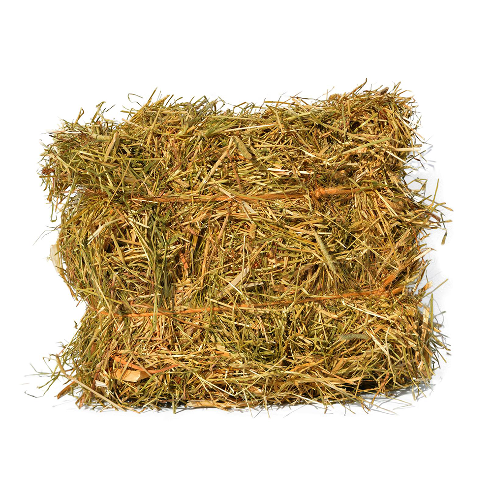 Sachet 1kg - Foin – Image 2